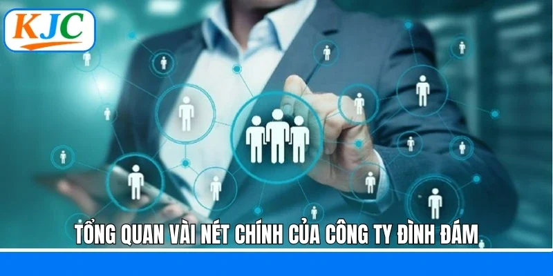 Tổng quan vài nét chính của công ty đình đám